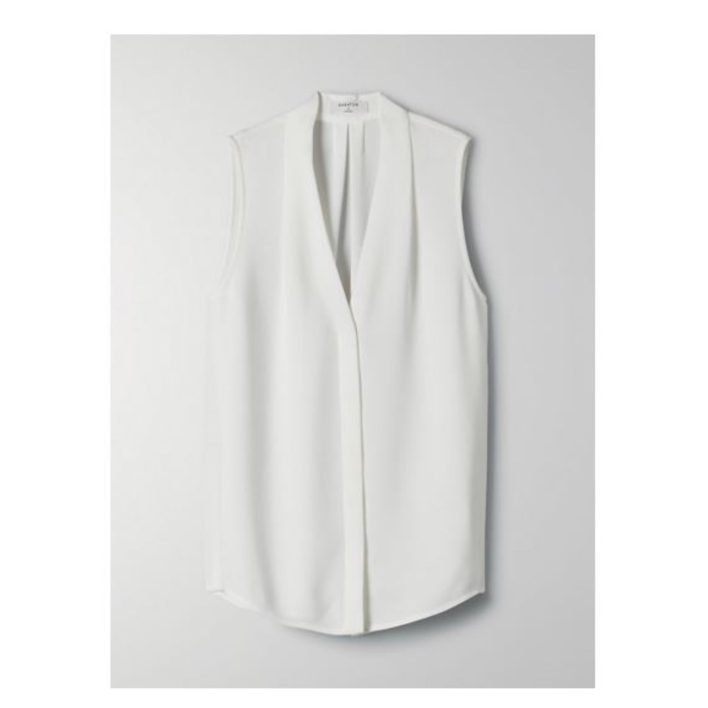 Aritzia Sleeveless V-Neck Blouse in White
